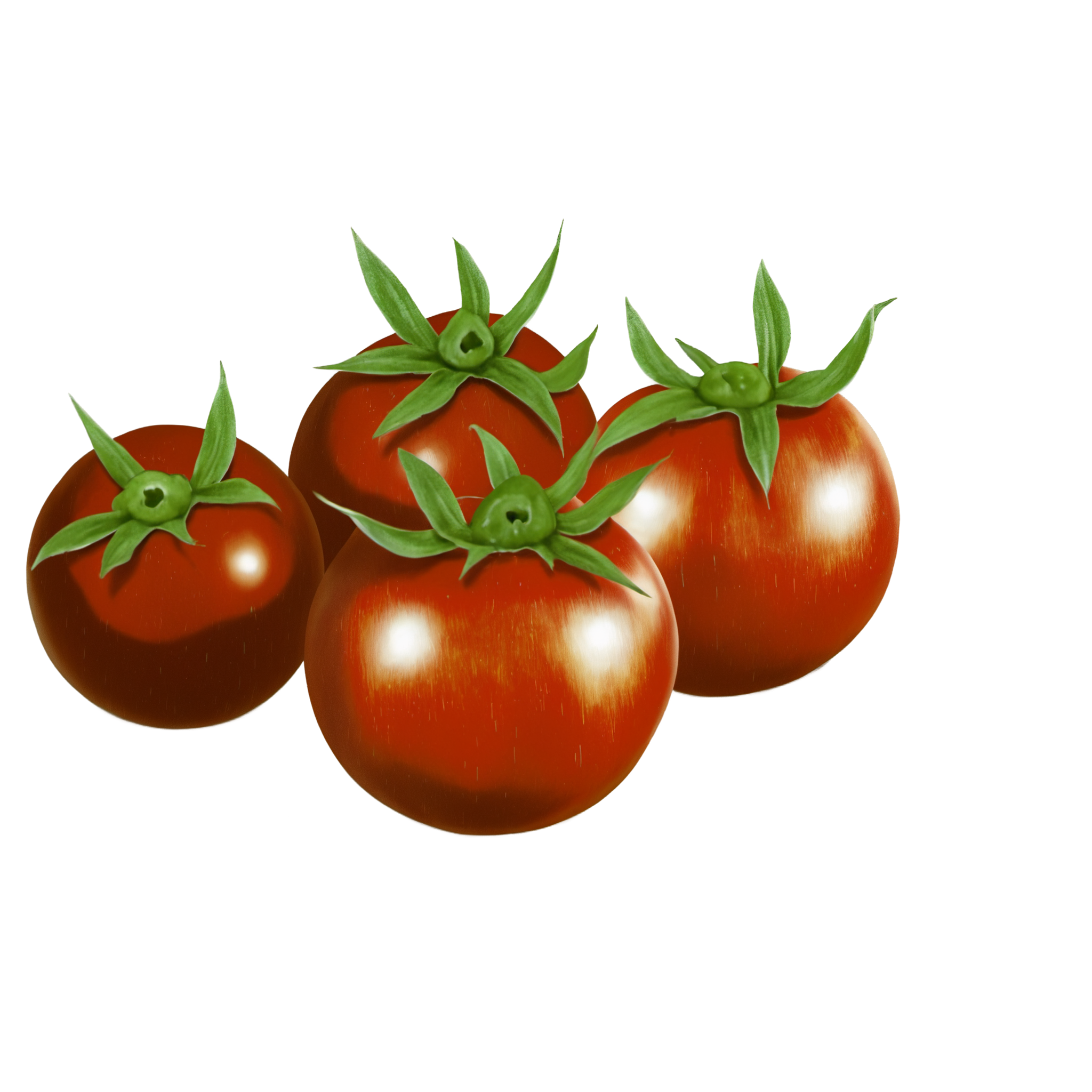 Food illustration materials