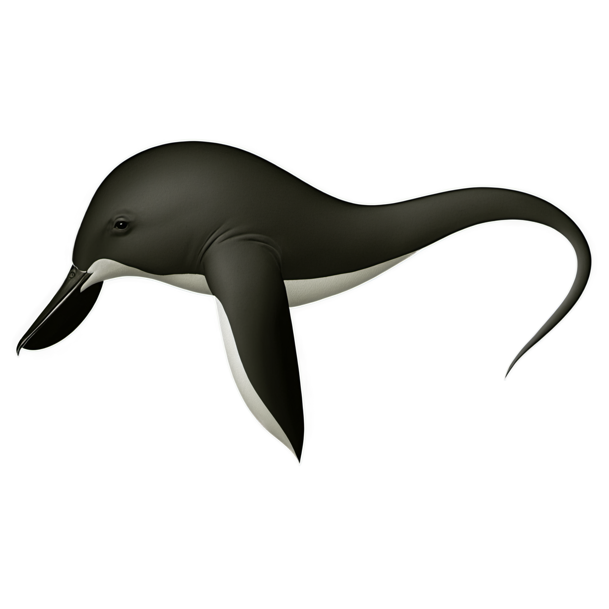 Animal Material Illustration Design