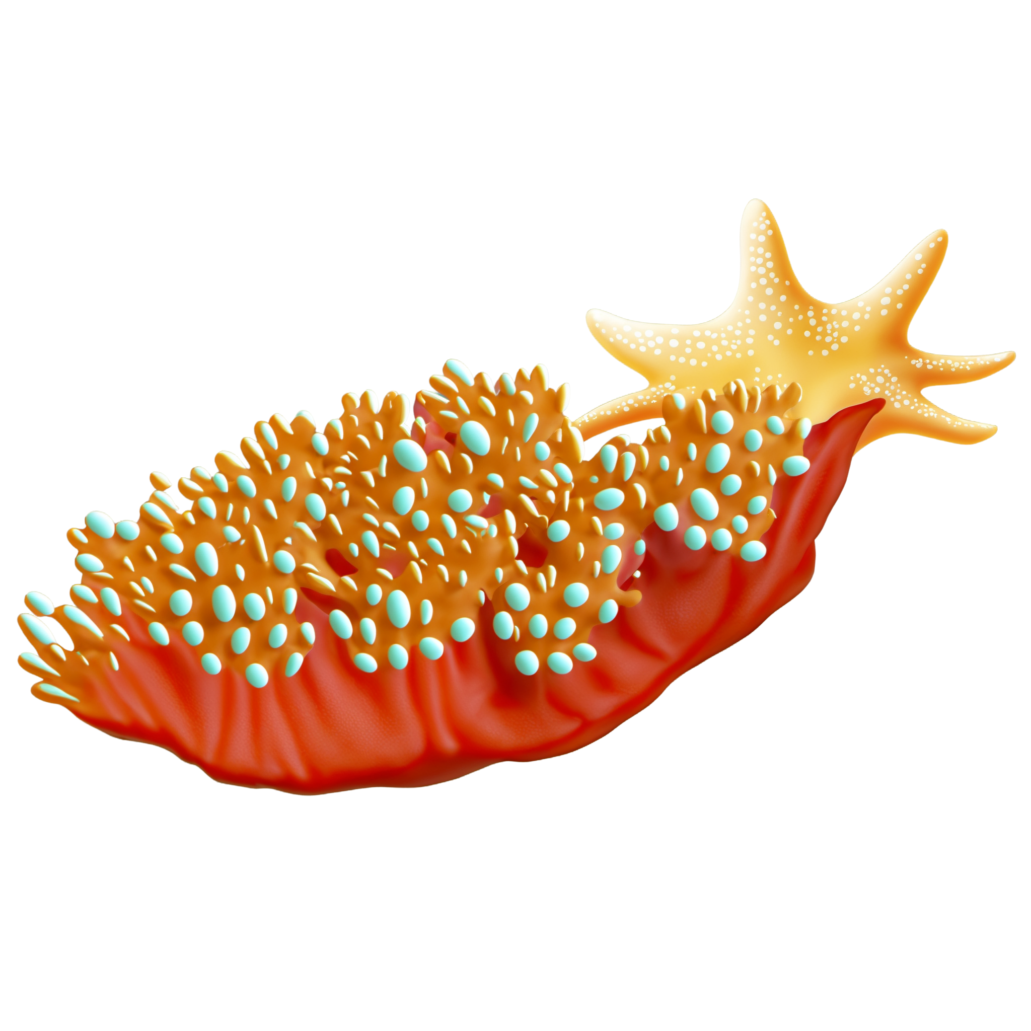 Coral illustration materials