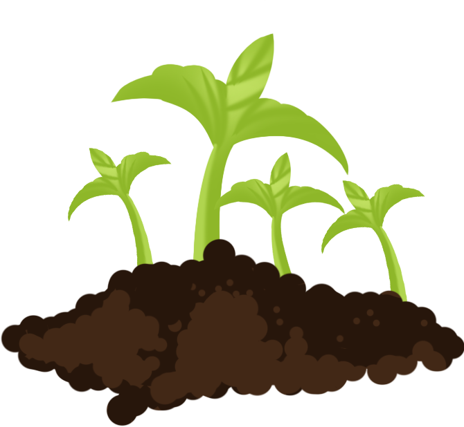 Green plants / grass