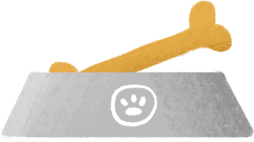 dog food bowl