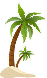 Coconut tree