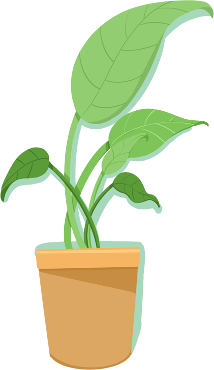 Potted plant