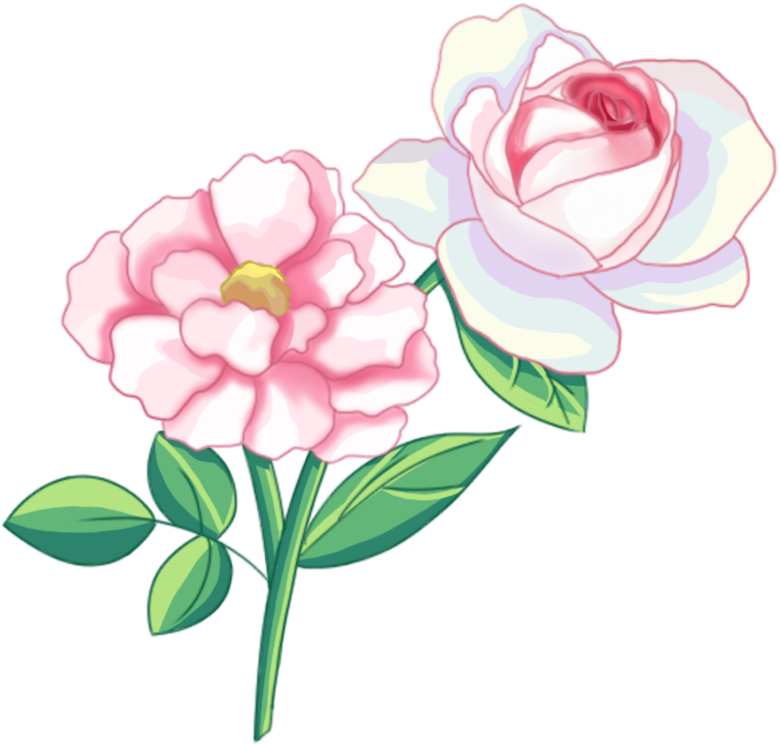 Plants and Flowers