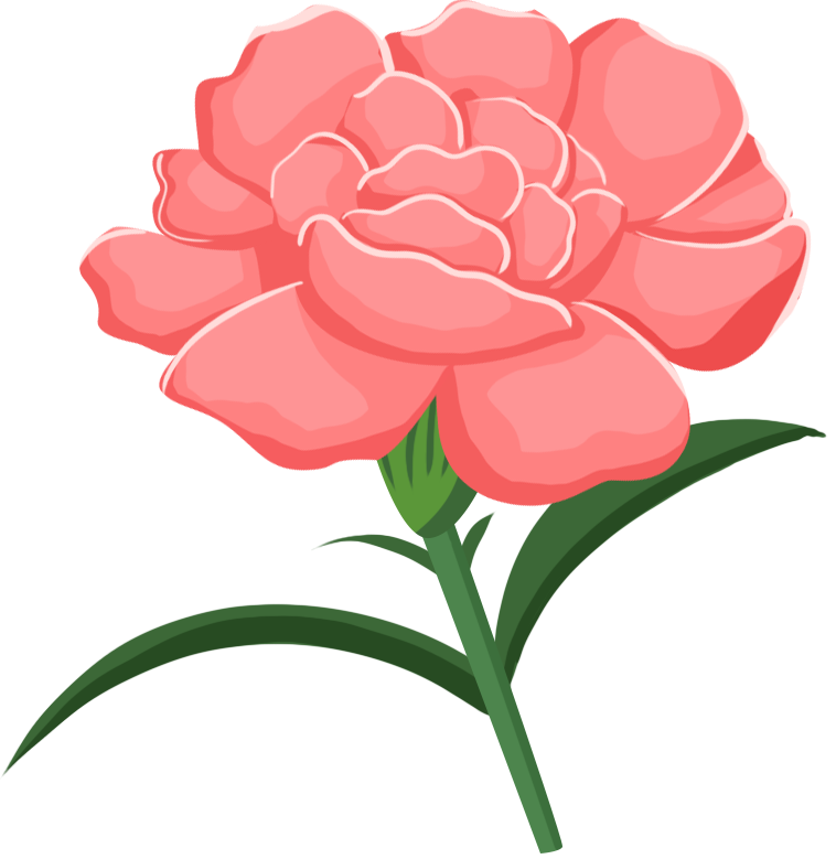 Pink flowers