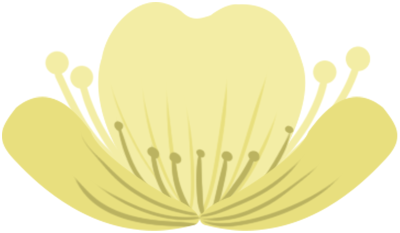 Yellow flowers