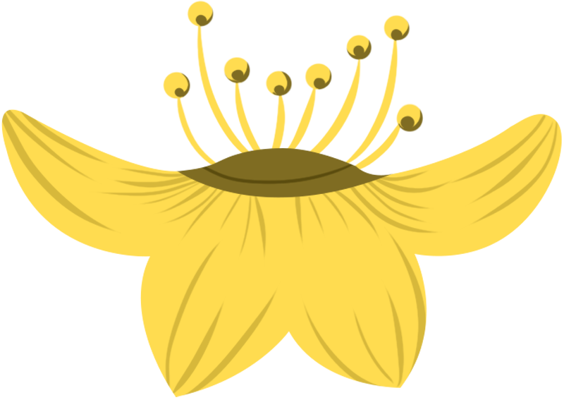Hand-drawn flat yellow flowers