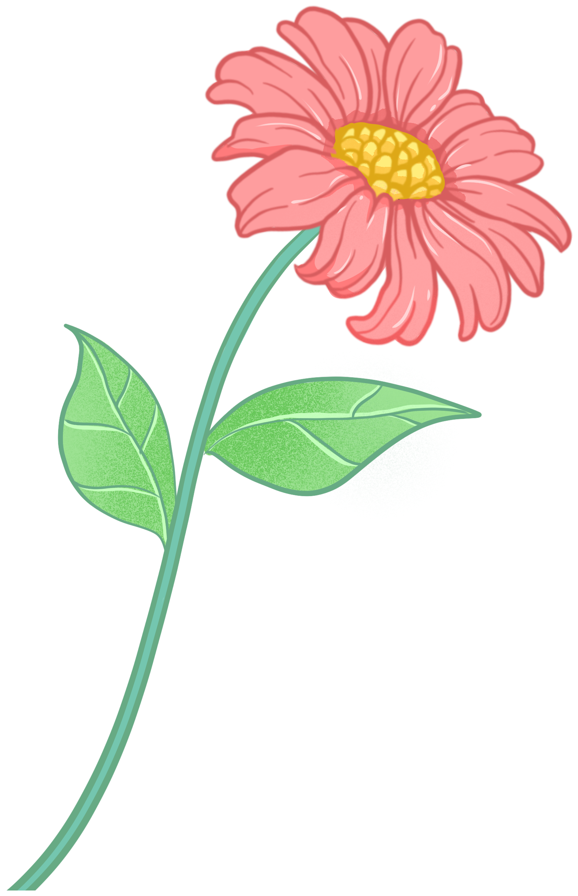 Fresh and simple flowers