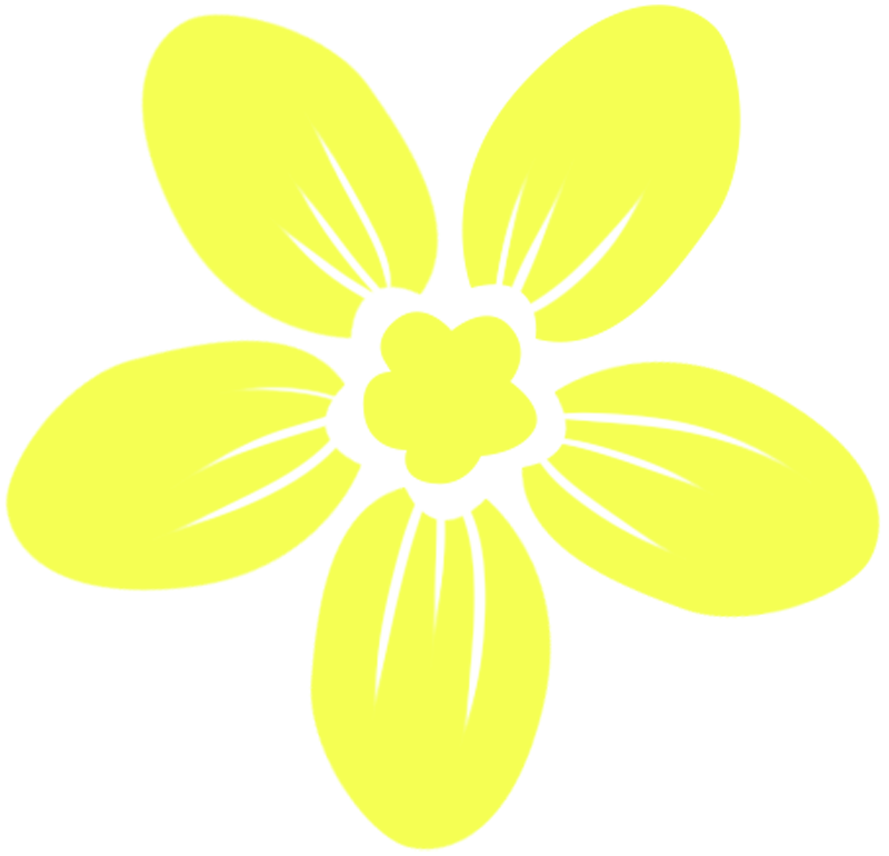 Yellow flowers