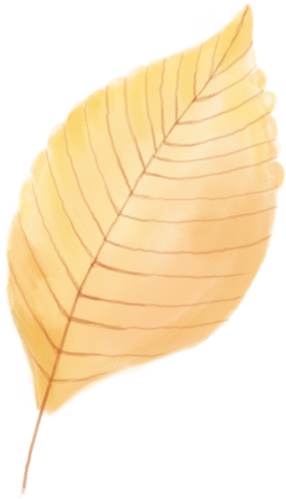 Yellow leaves