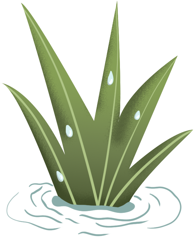Green plants