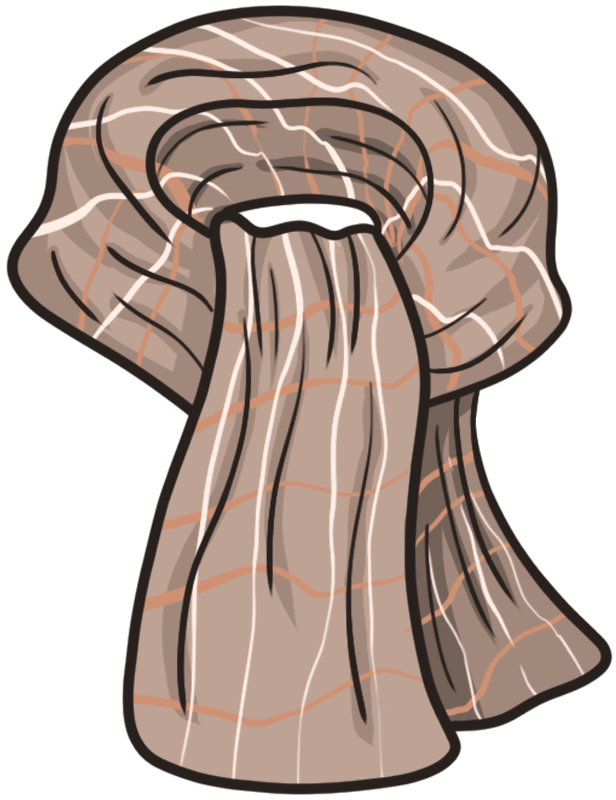 scarf