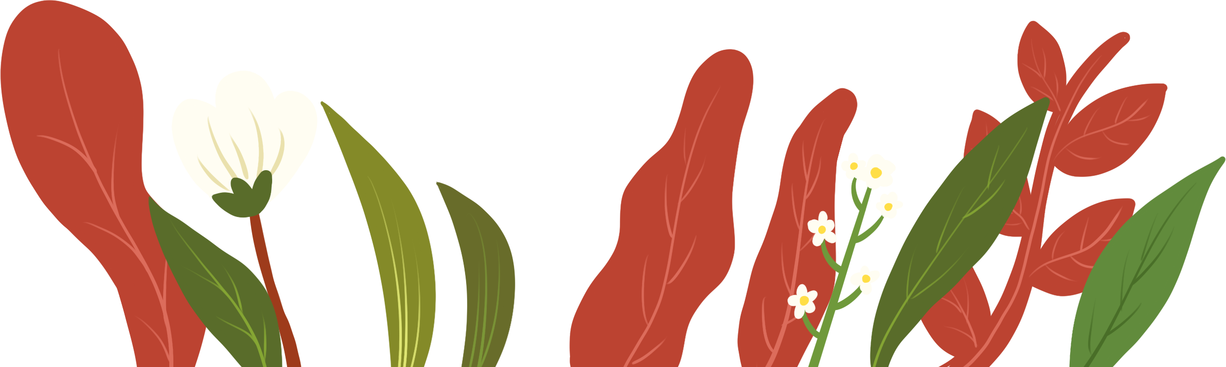 Flowers and plants