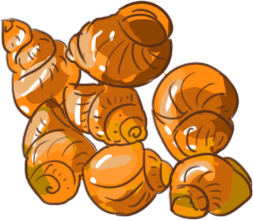 Snail