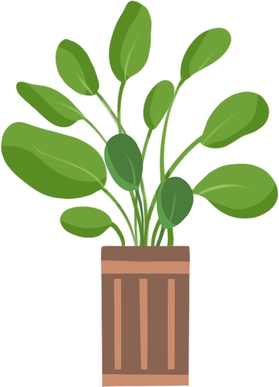 Plant 2