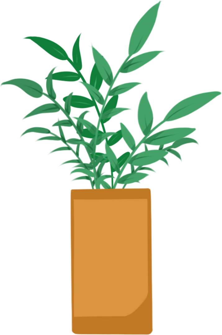 Plants