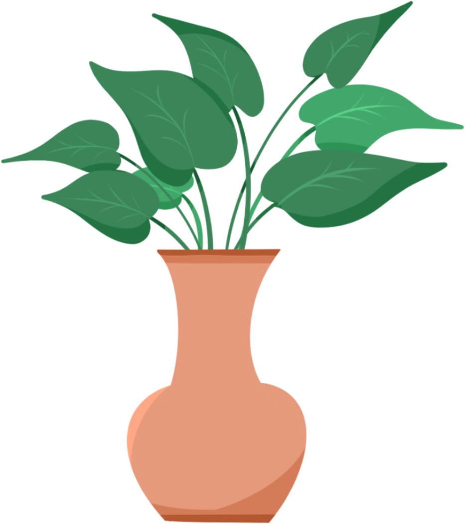 Middle Leaf Plants