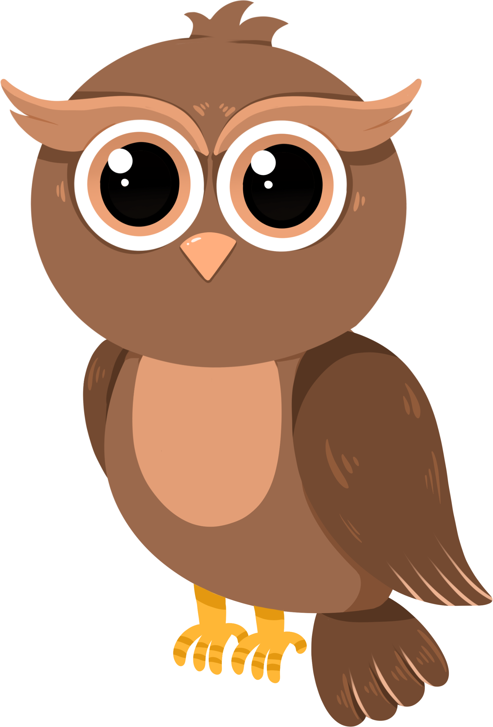 Owl cartoon image cute and silly
