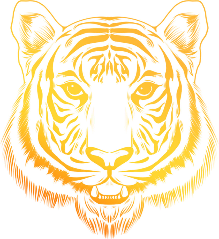 Gradient Sketch Tiger