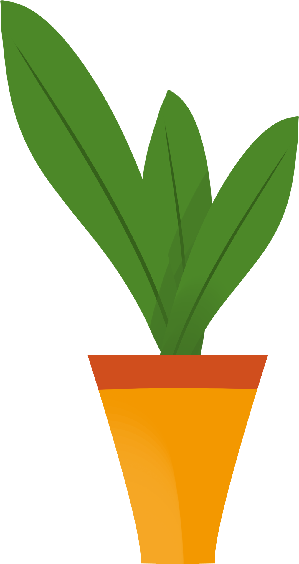 Potted plant