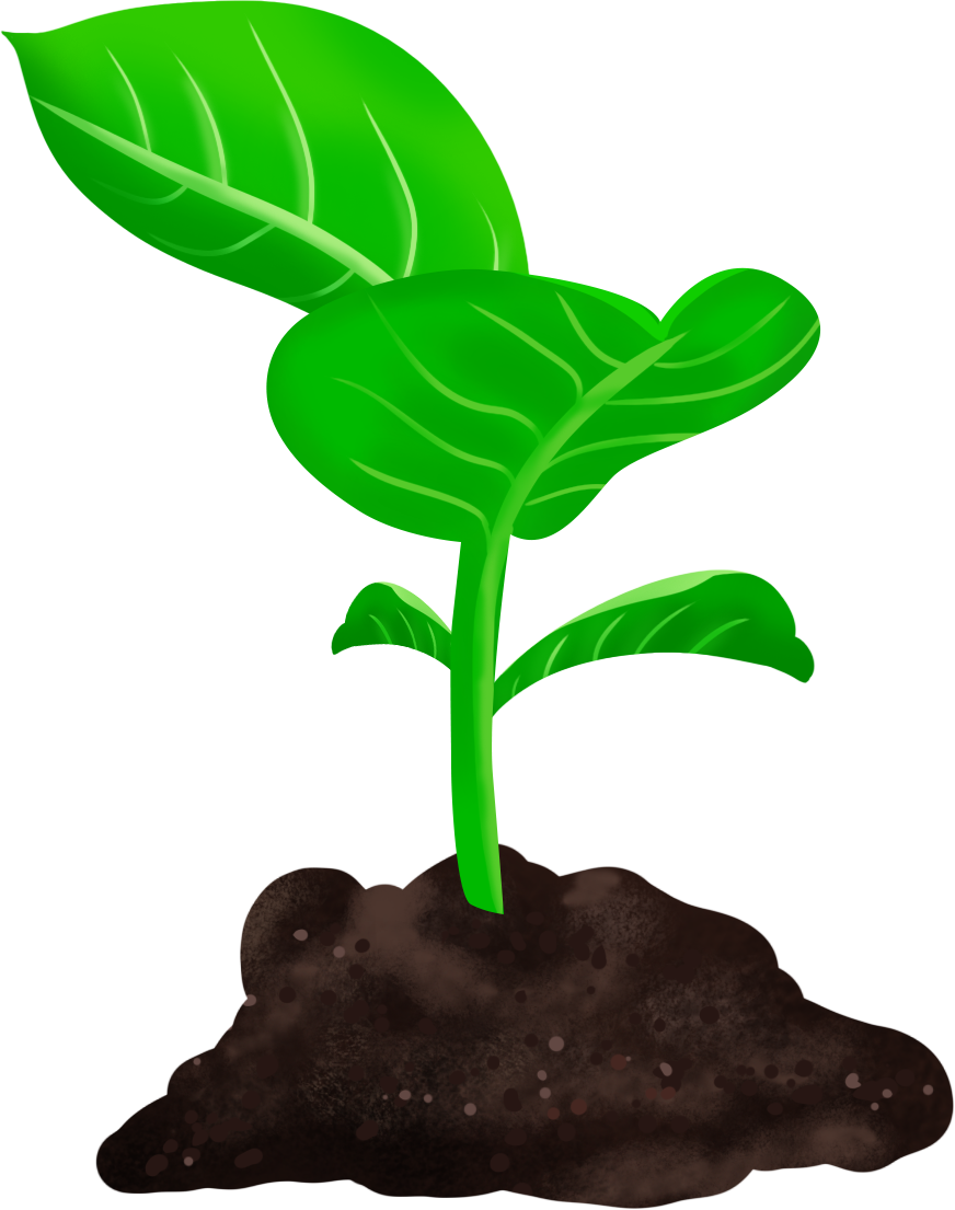 Saplings thriving on Arbor Day