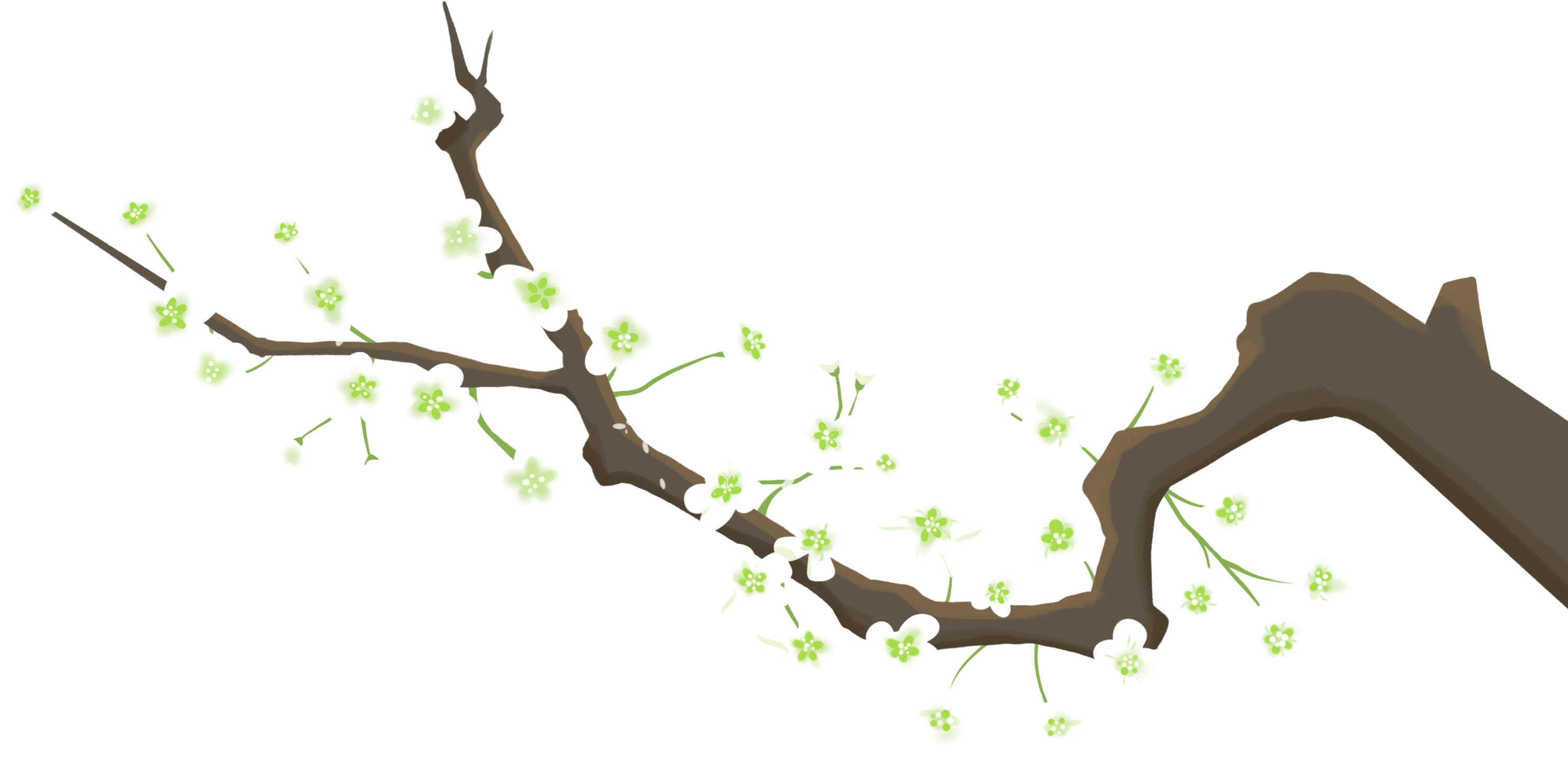 White flower branch