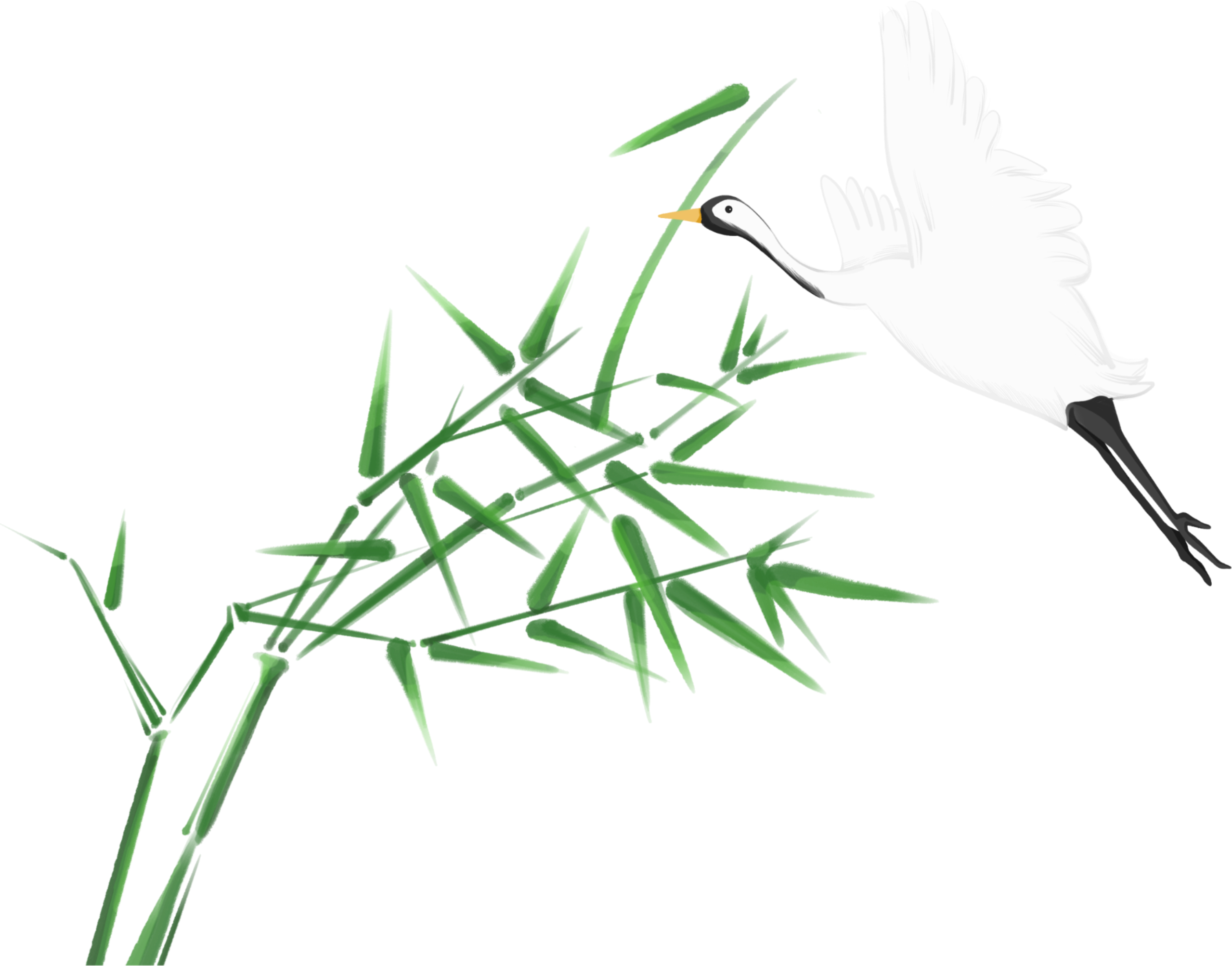 Bamboo and White Crane