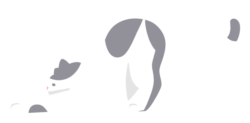Cat image