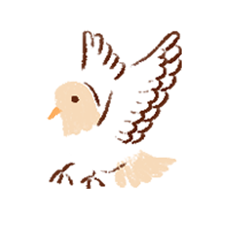 Bird images