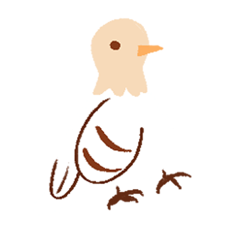 Bird images