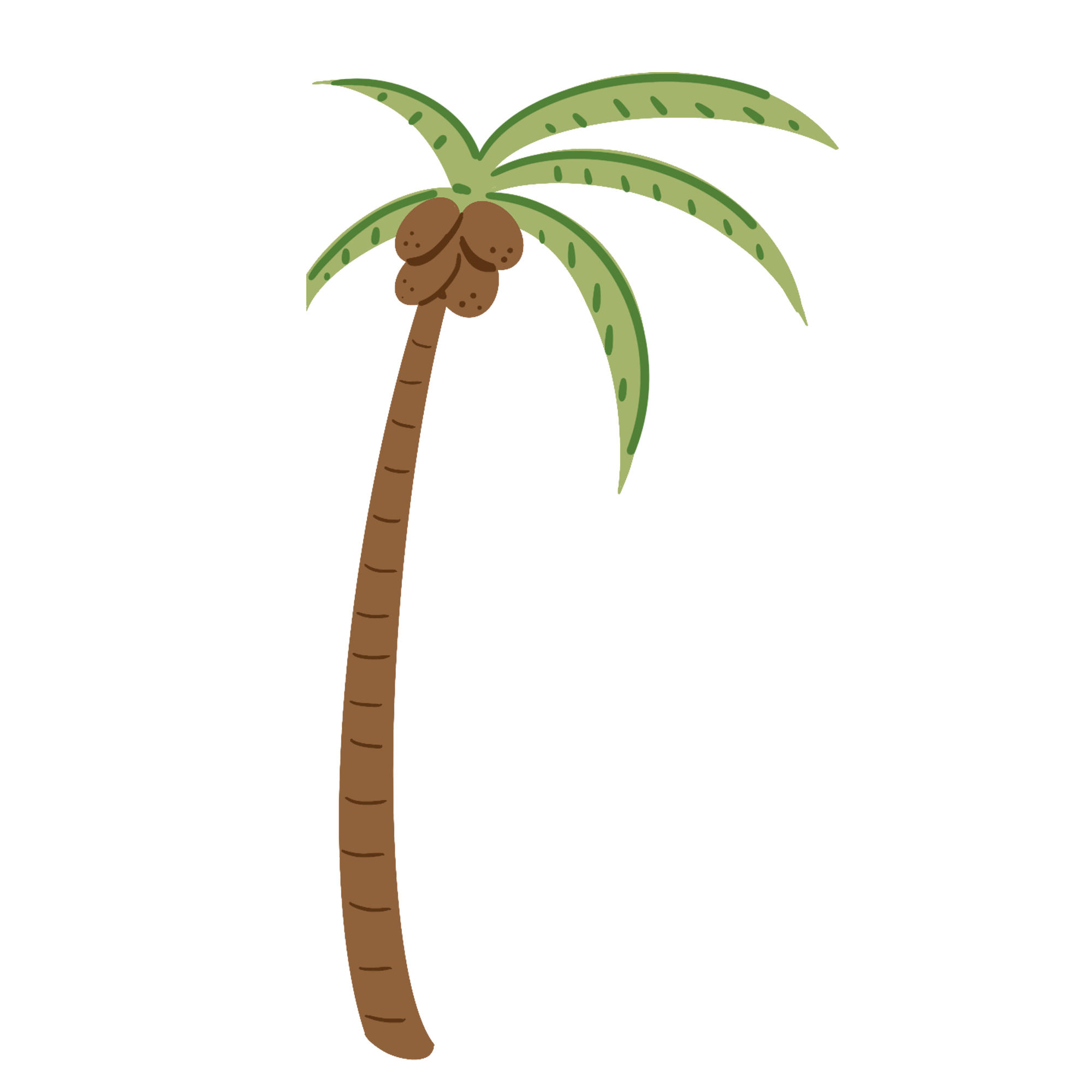 Coconut tree image