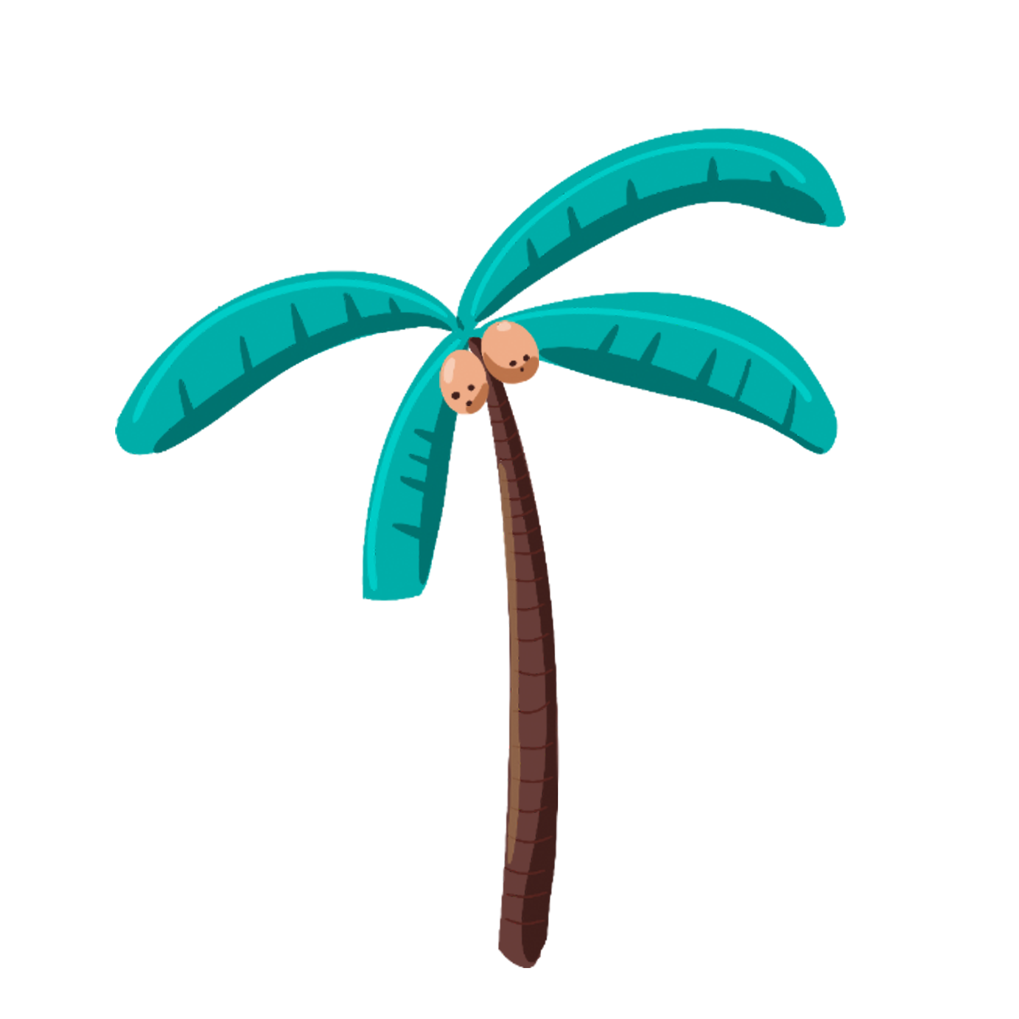 Coconut tree image