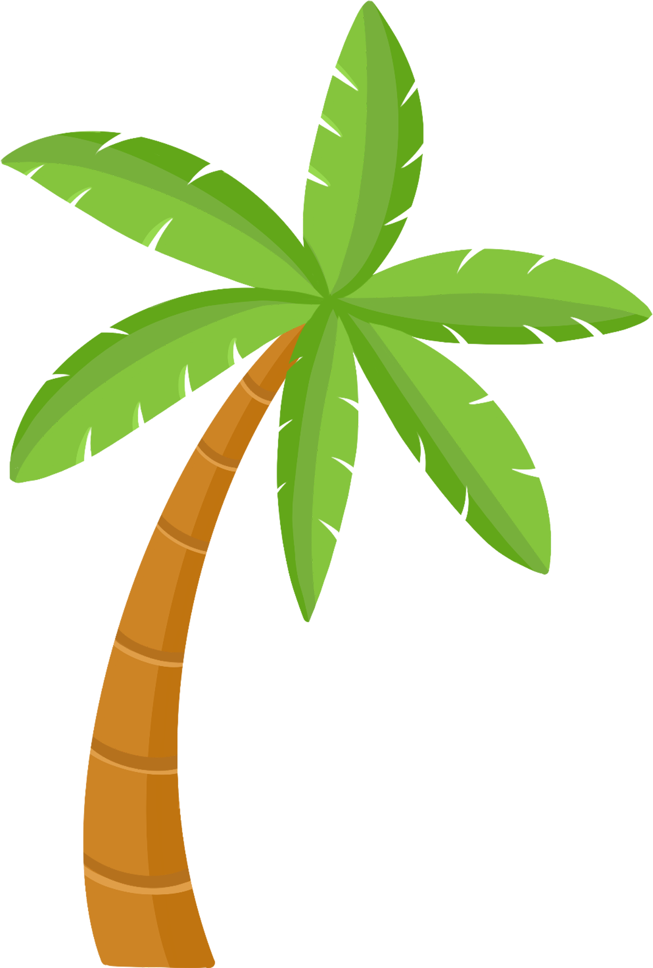 Coconut tree image