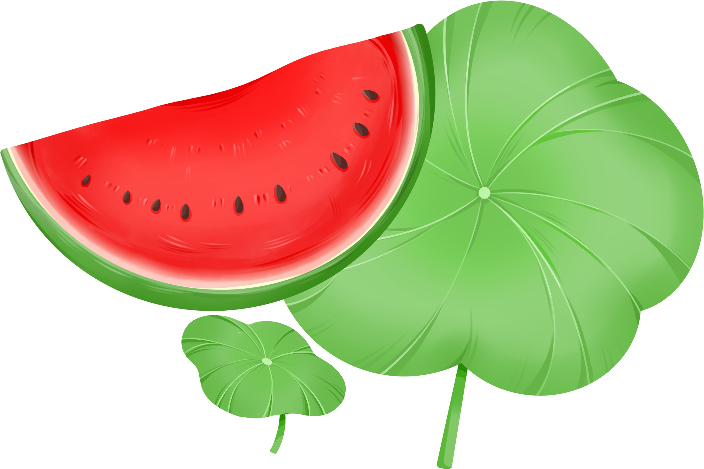 Watermelon and lotus leaf image