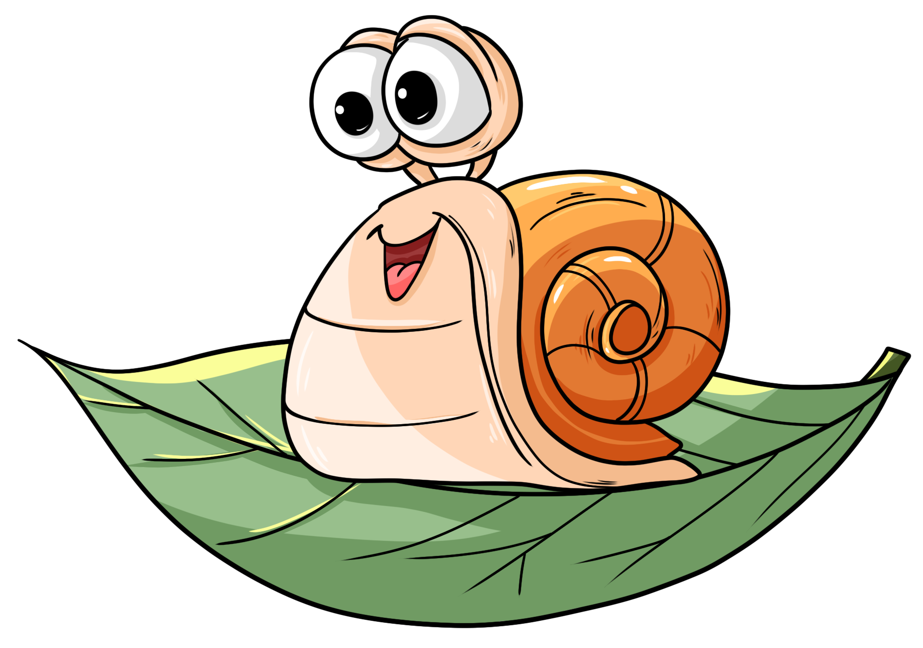 Snail image