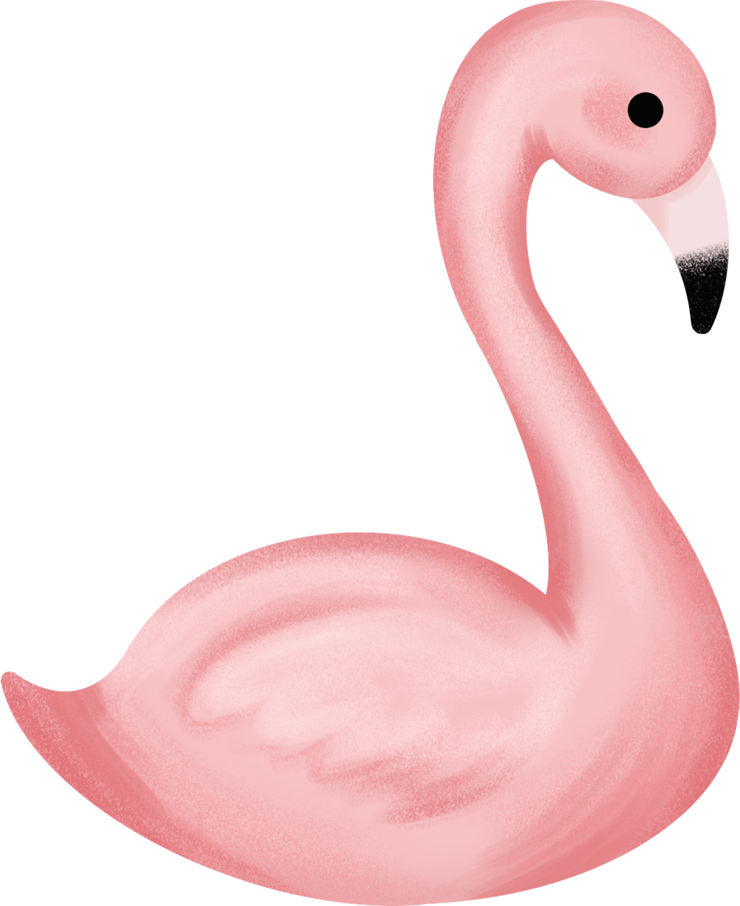 Flamingo image