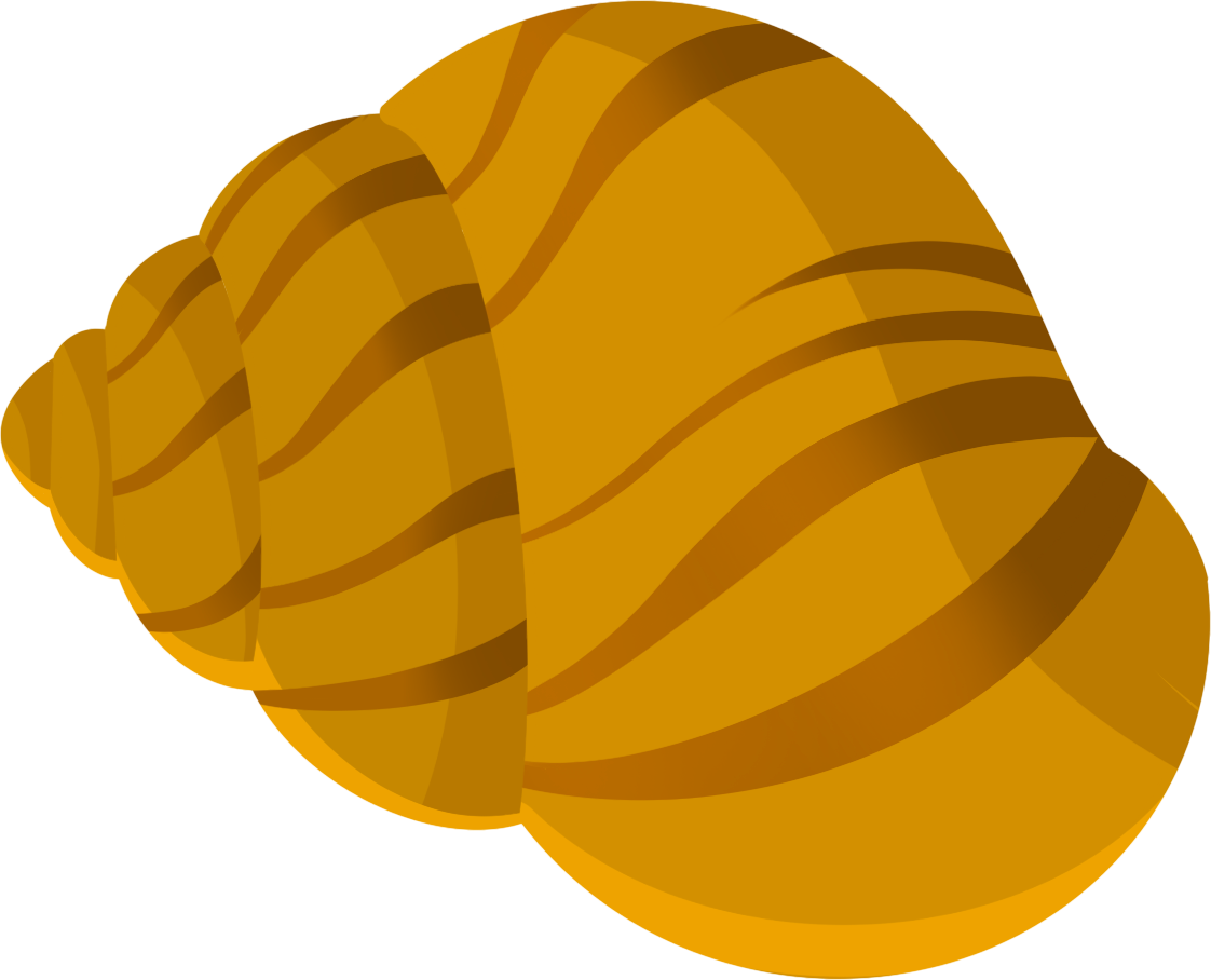 Snail image