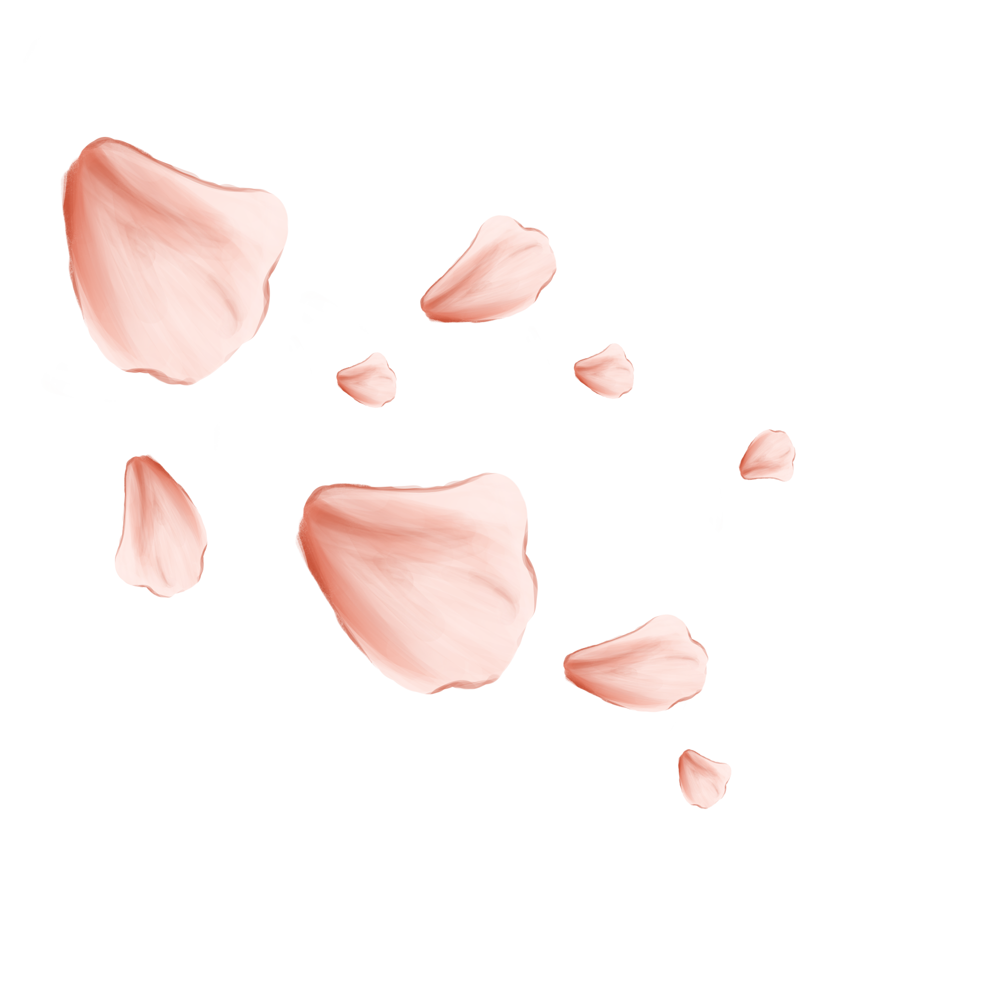 Petal Image