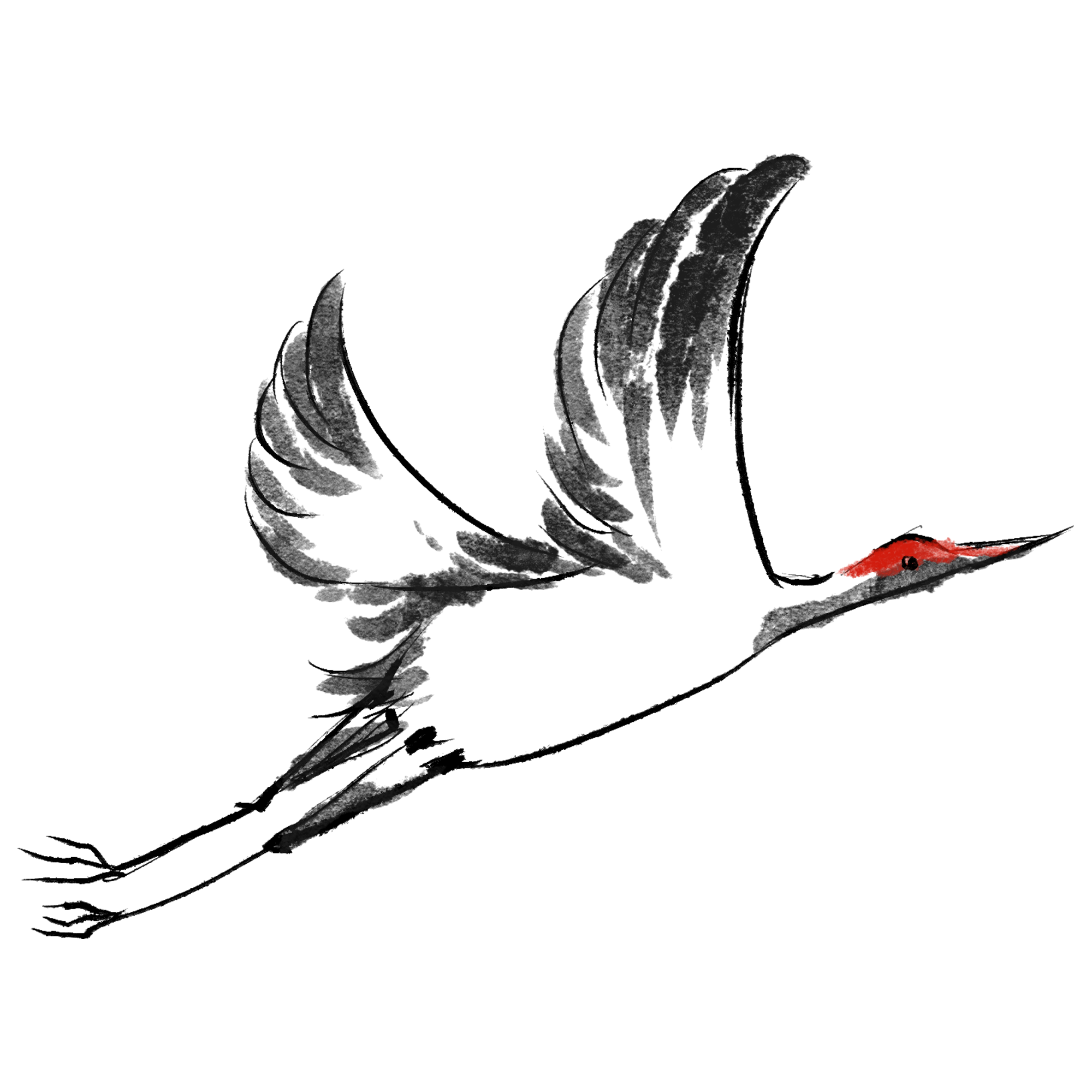 Traditional Chinese Hand-painted Red-crowned Crane Image