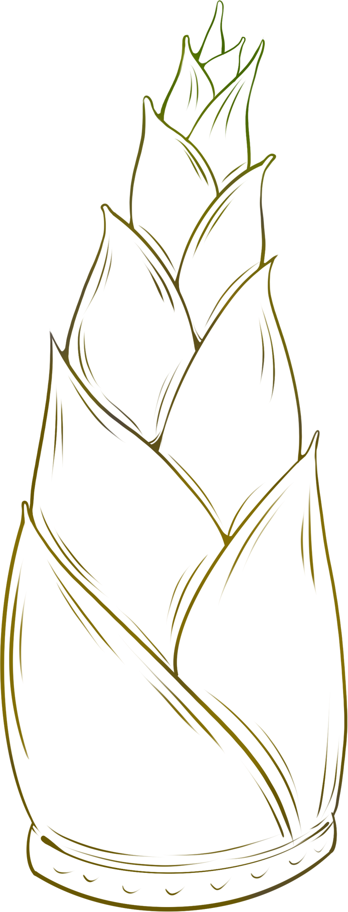 Bamboo Shoot Line Art