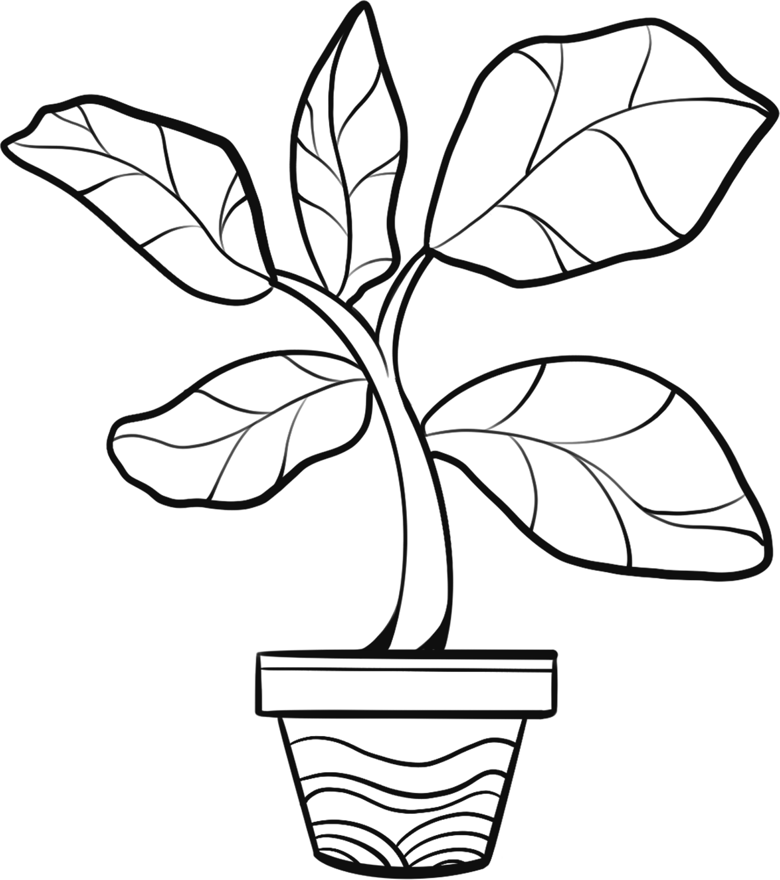 Line art images of large-leaved plants