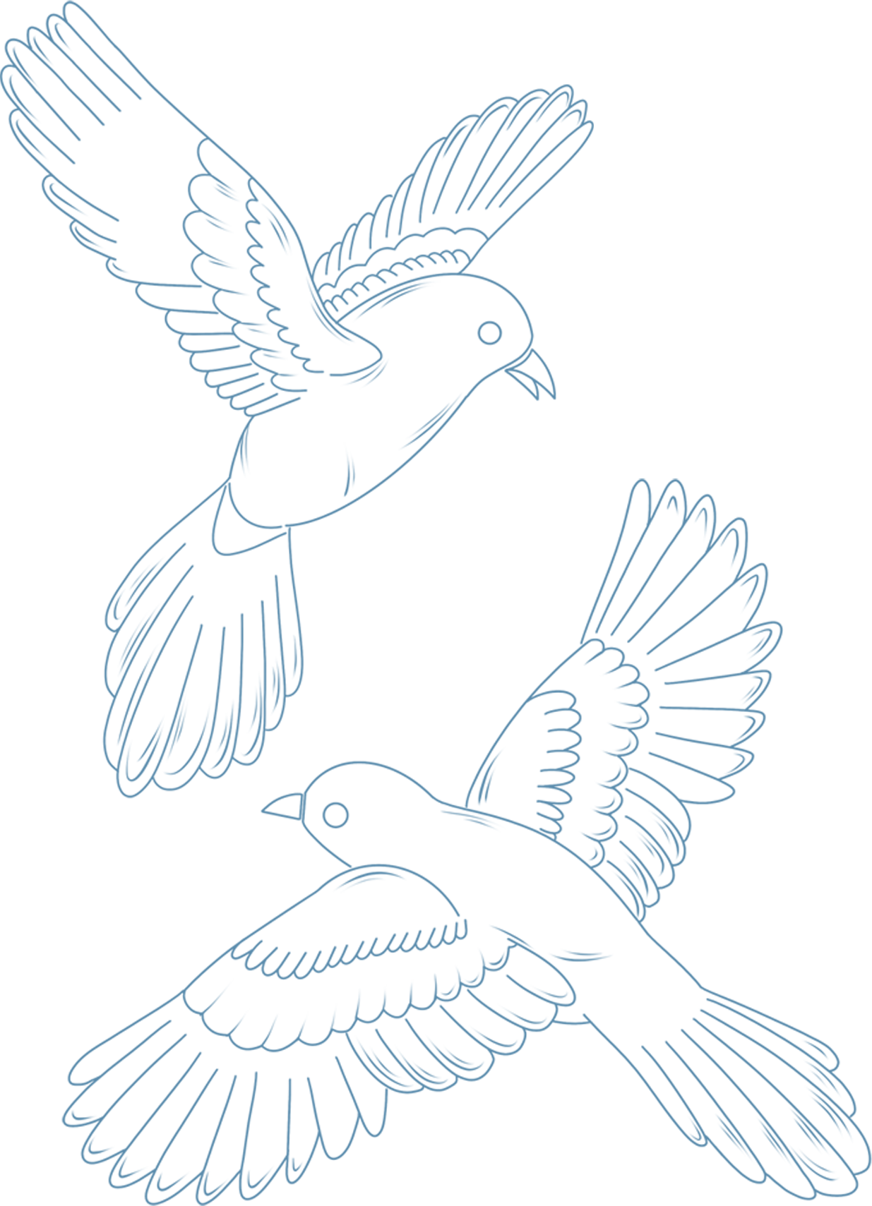 White dove hand-drawn animal bird line art