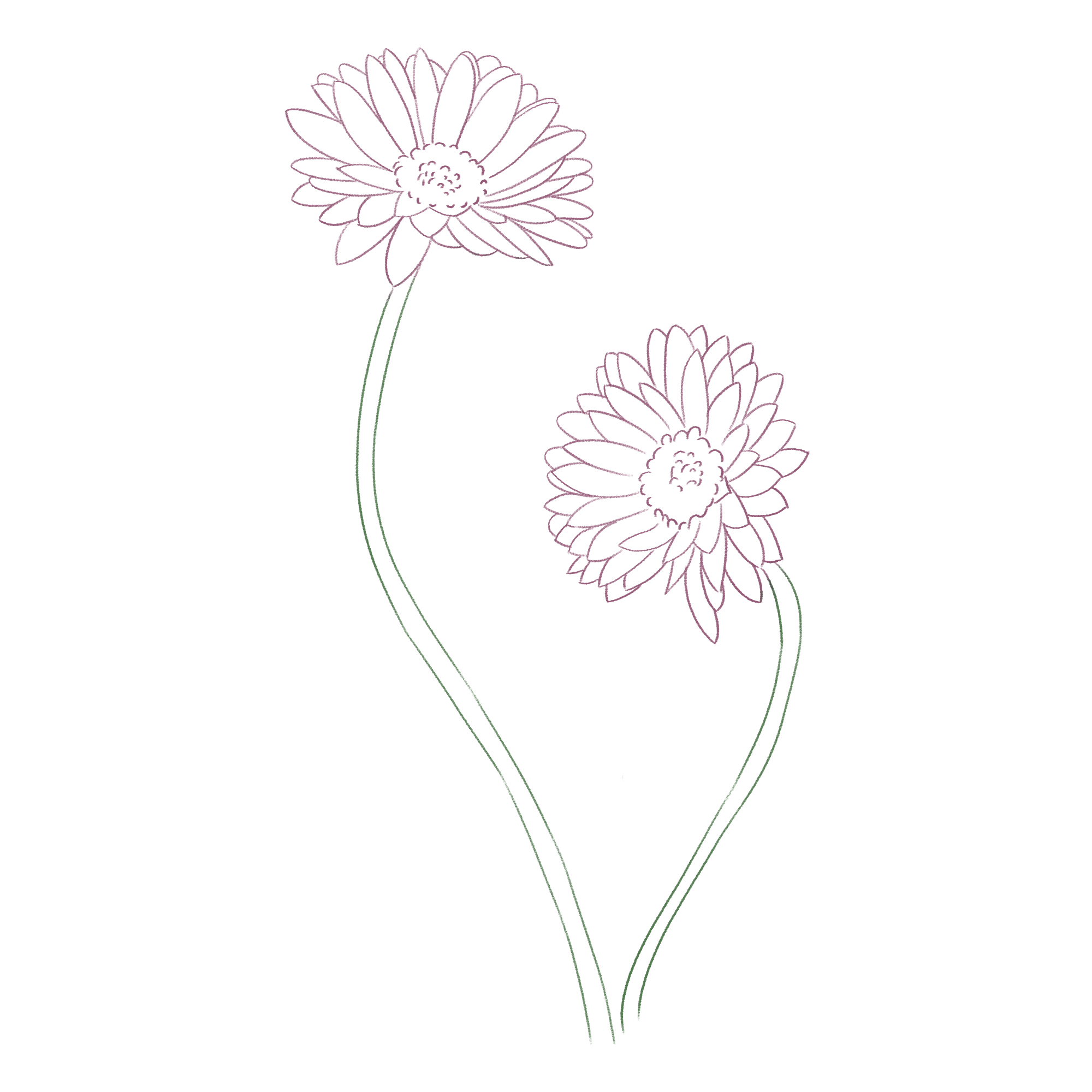 Fresh Little Flower Line Drawing