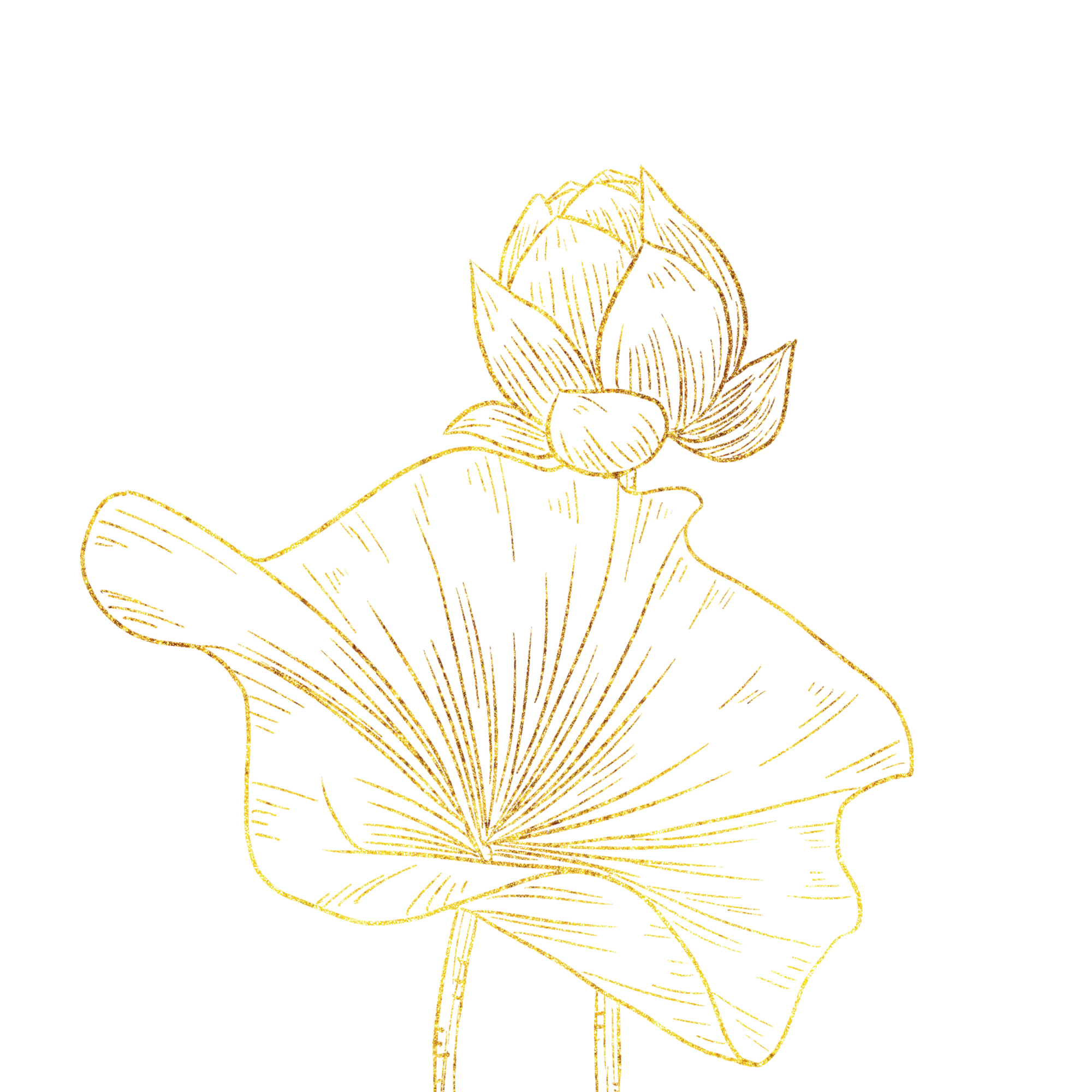 Golden Minimalist Lotus Line Drawing