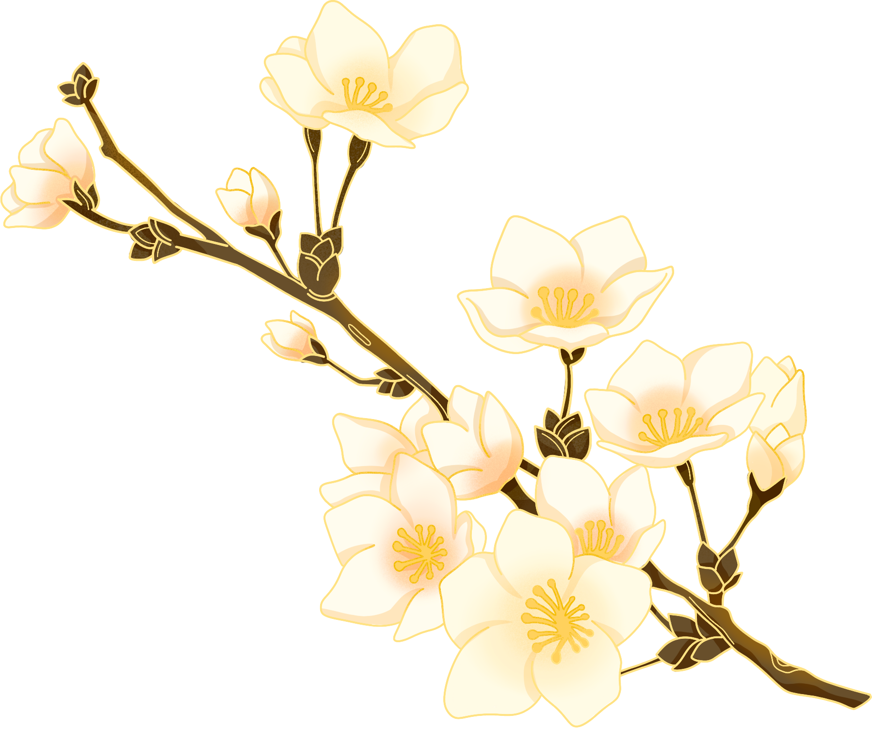 Beautiful yellow and white flower branch plant image