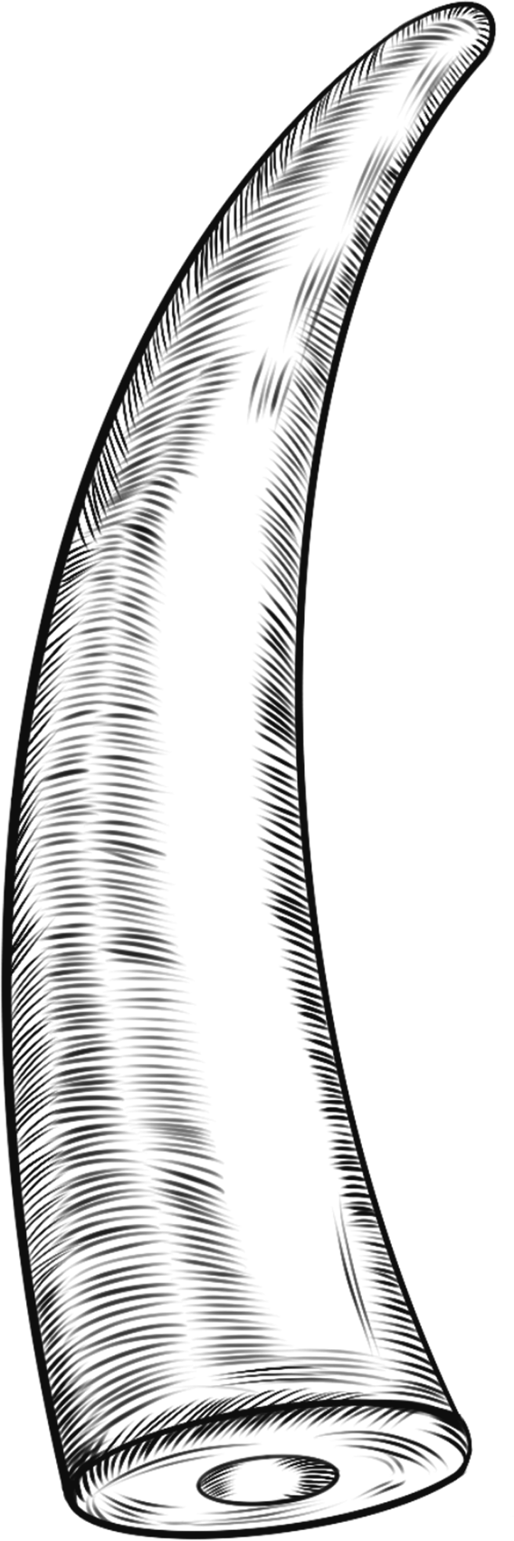 Protective animal line drawing ivory line draft elements