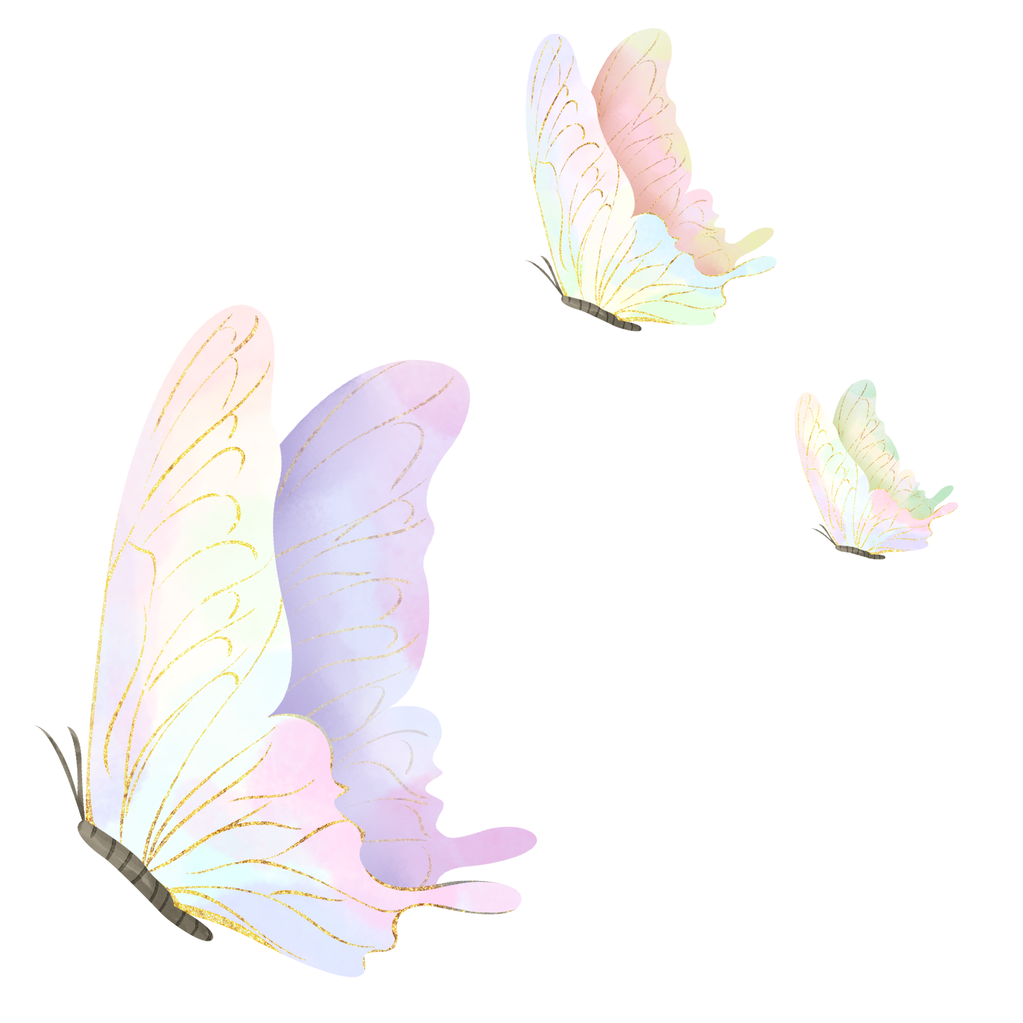 Beautiful gradient color butterfly element image
