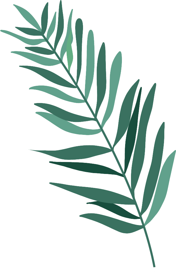 Image of tropical plants with slender leaves