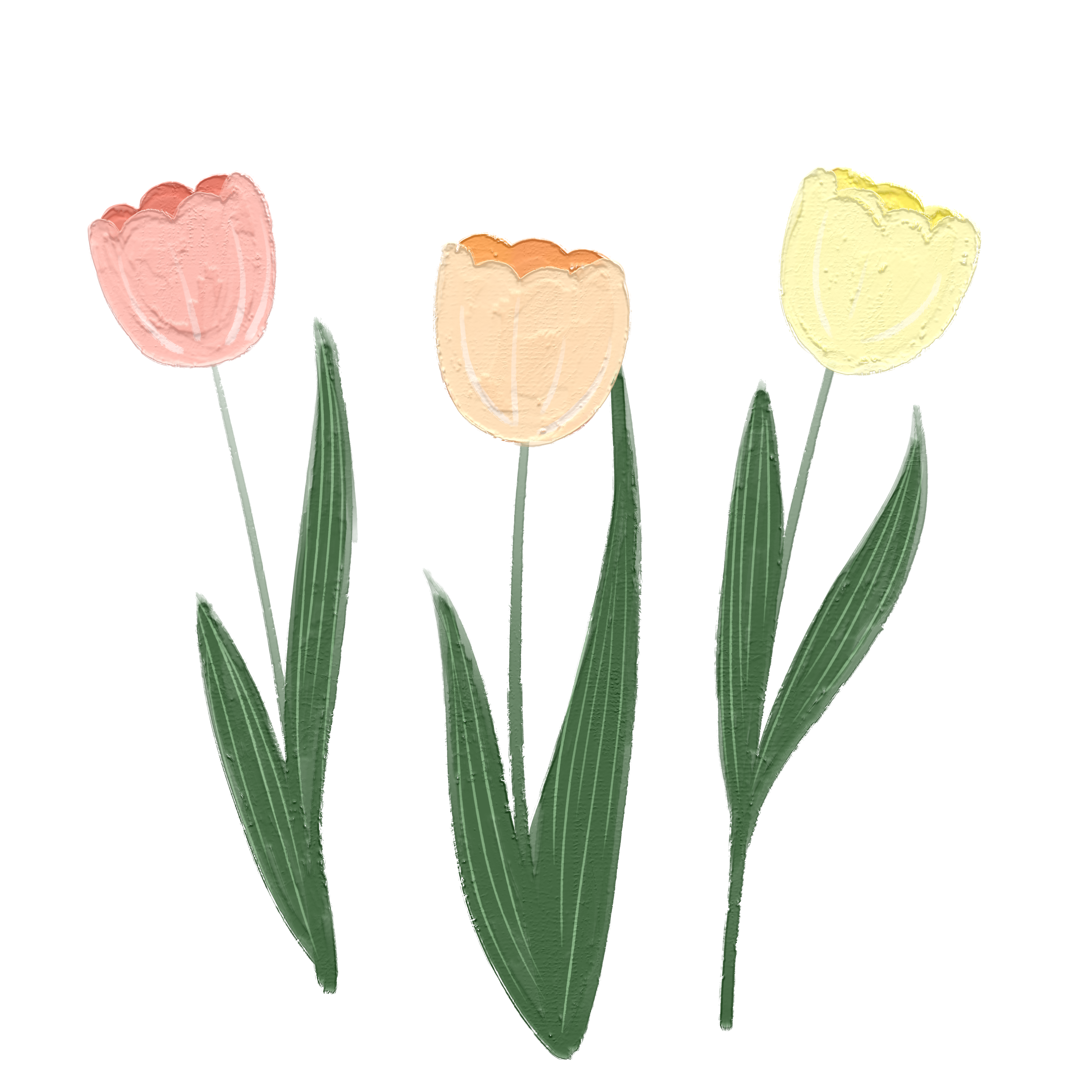 Colorful oil painting of tulips
