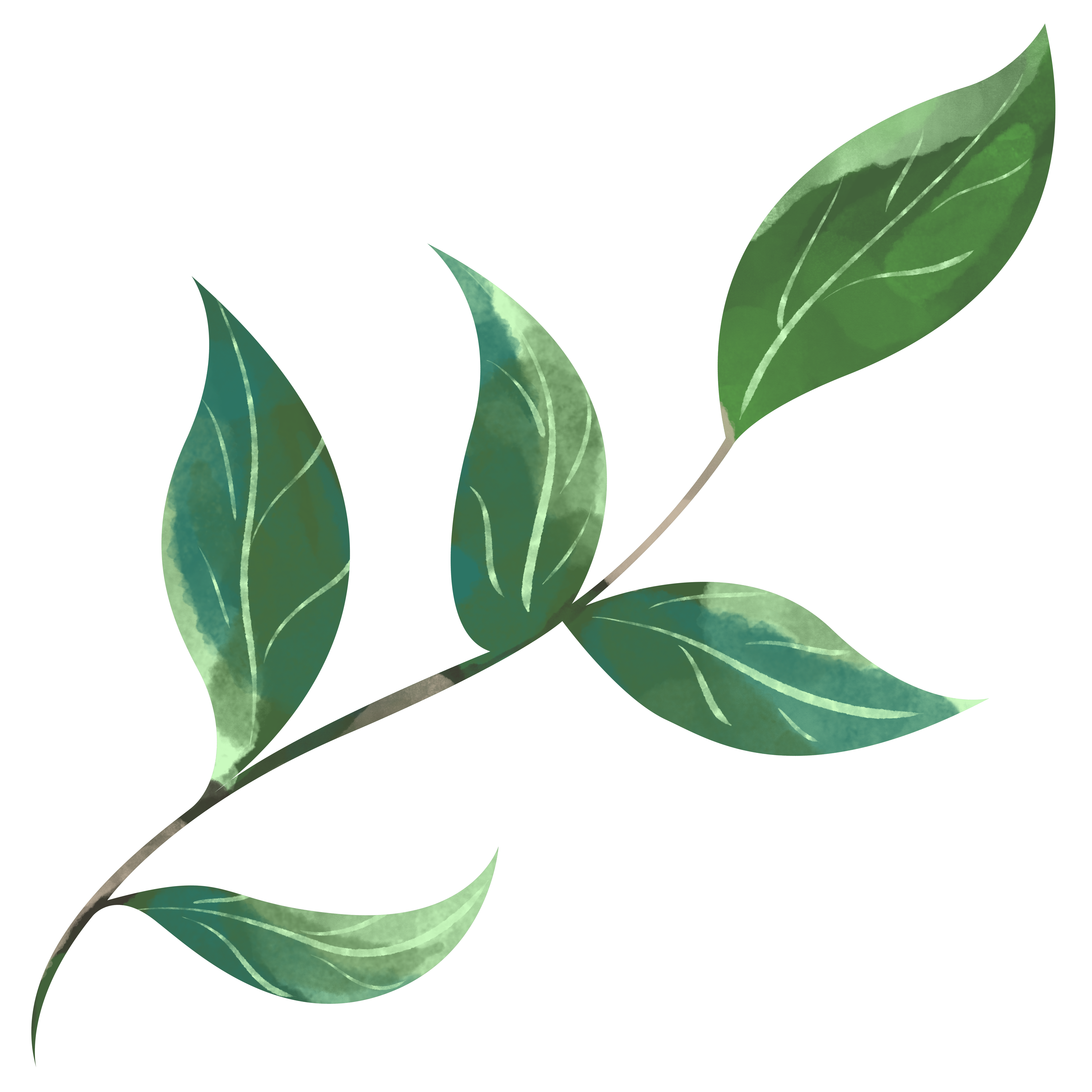 Vibrant watercolor leaves image